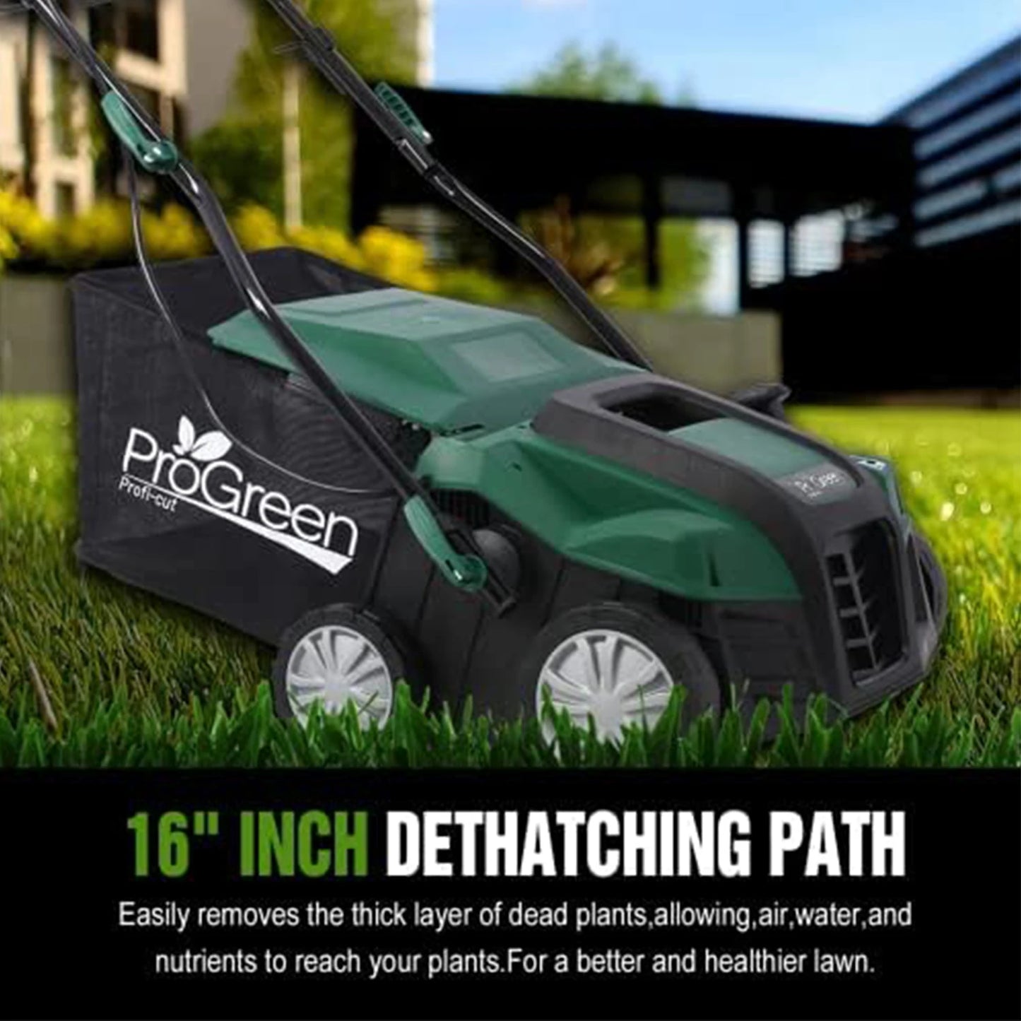 2-in-1 Electric Garden Scarifier & Dethatcher. Lawn Aerator with Detachable Bag