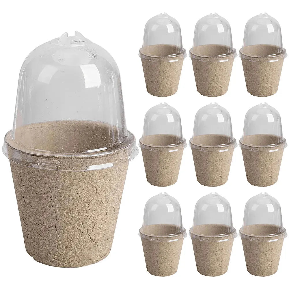 10pcs 6/8cm Paper Nursery Pots and Plant Label Set Round Biodegradable