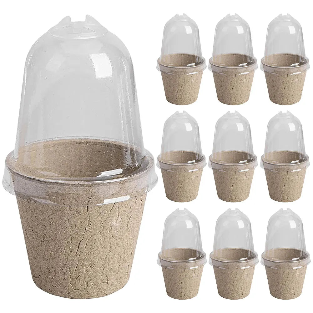 10pcs 6/8cm Paper Nursery Pots and Plant Label Set Round Biodegradable