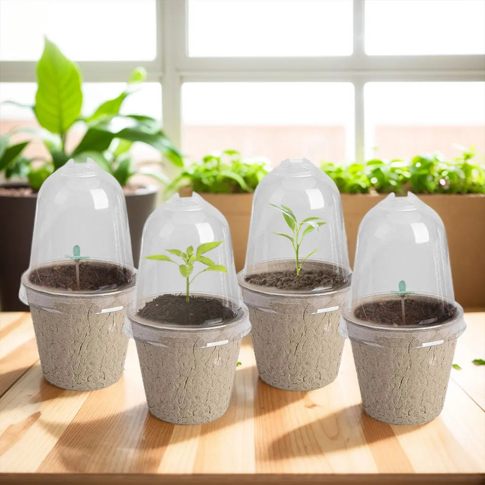 10pcs 6/8cm Paper Nursery Pots and Plant Label Set Round Biodegradable