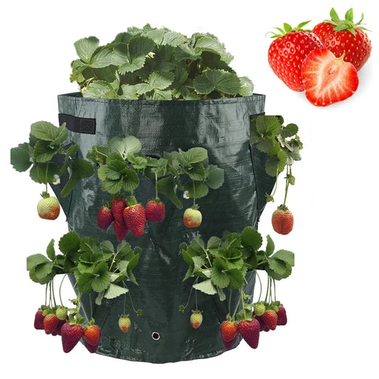 Multi-Mouth Grow Bag 5/7/10 Gallons for Strawberry / Tomato