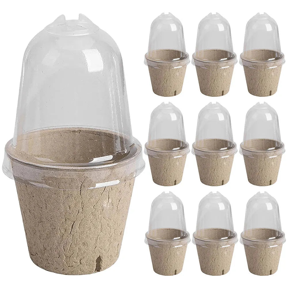 10pcs 6/8cm Paper Nursery Pots and Plant Label Set Round Biodegradable