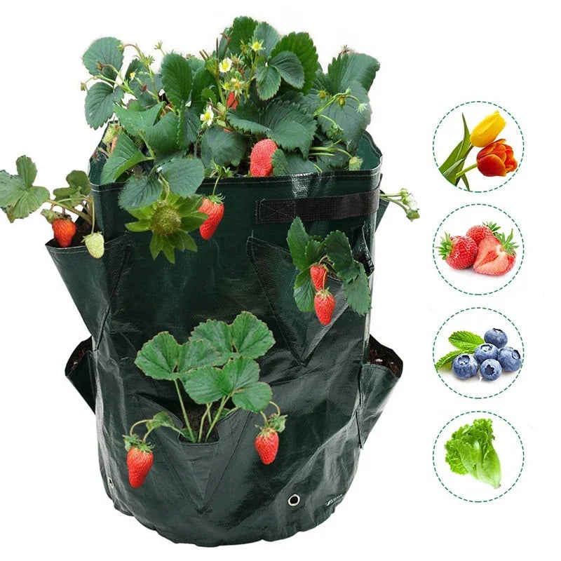 Multi-Mouth Grow Bag 5/7/10 Gallons for Strawberry / Tomato
