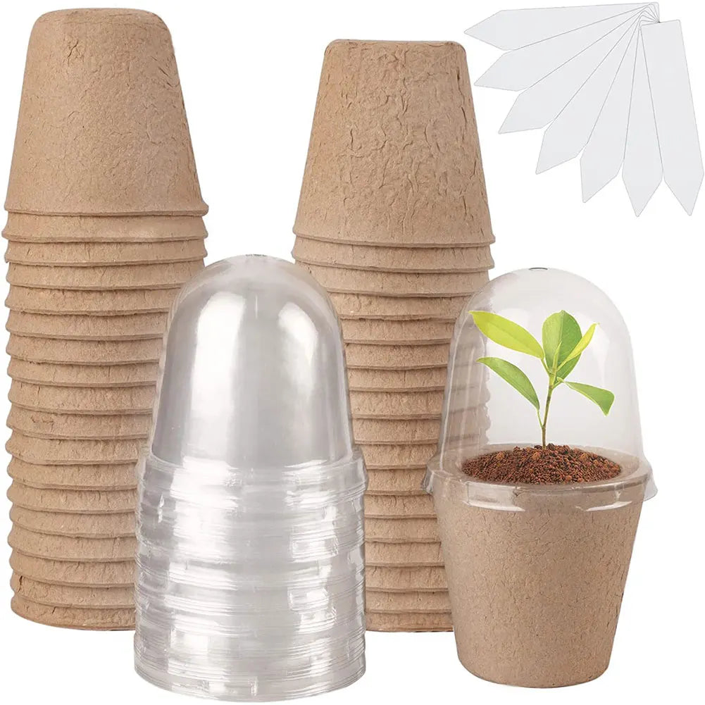 10pcs 6/8cm Paper Nursery Pots and Plant Label Set Round Biodegradable