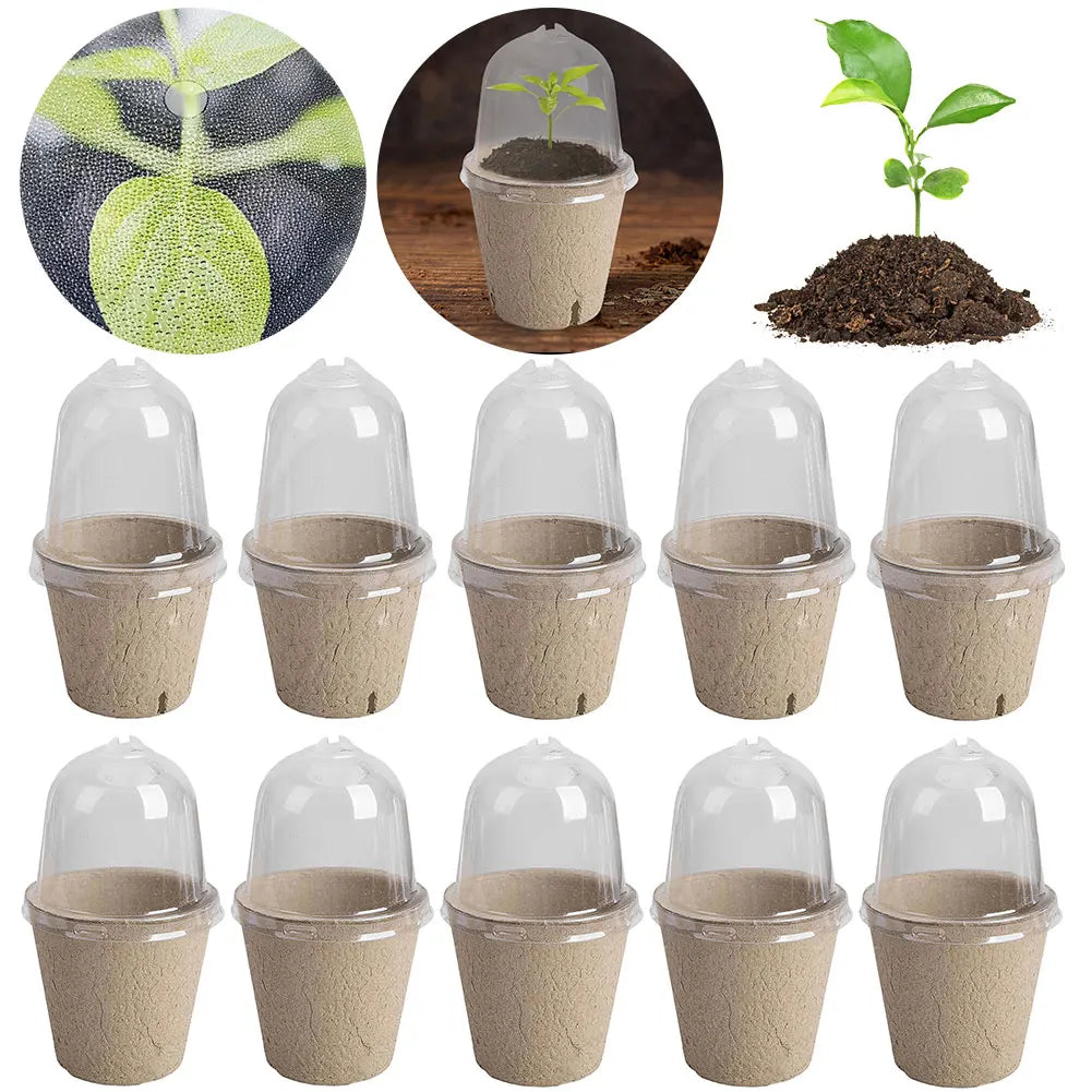 10pcs 6/8cm Paper Nursery Pots and Plant Label Set Round Biodegradable